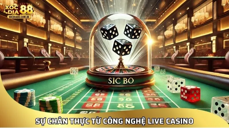 XOCDIA88 – LINK XÓC ĐĨA 88 | CHƠI XÓC ĐĨA ONLINE MIỄN PHÍ [2026]